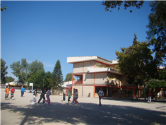 Colegio Joaquín Carrión Valverde: Colegio Público en SAN JAVIER,Infantil,Primaria,Laico,